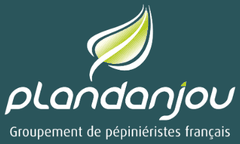 Pland'Anjou